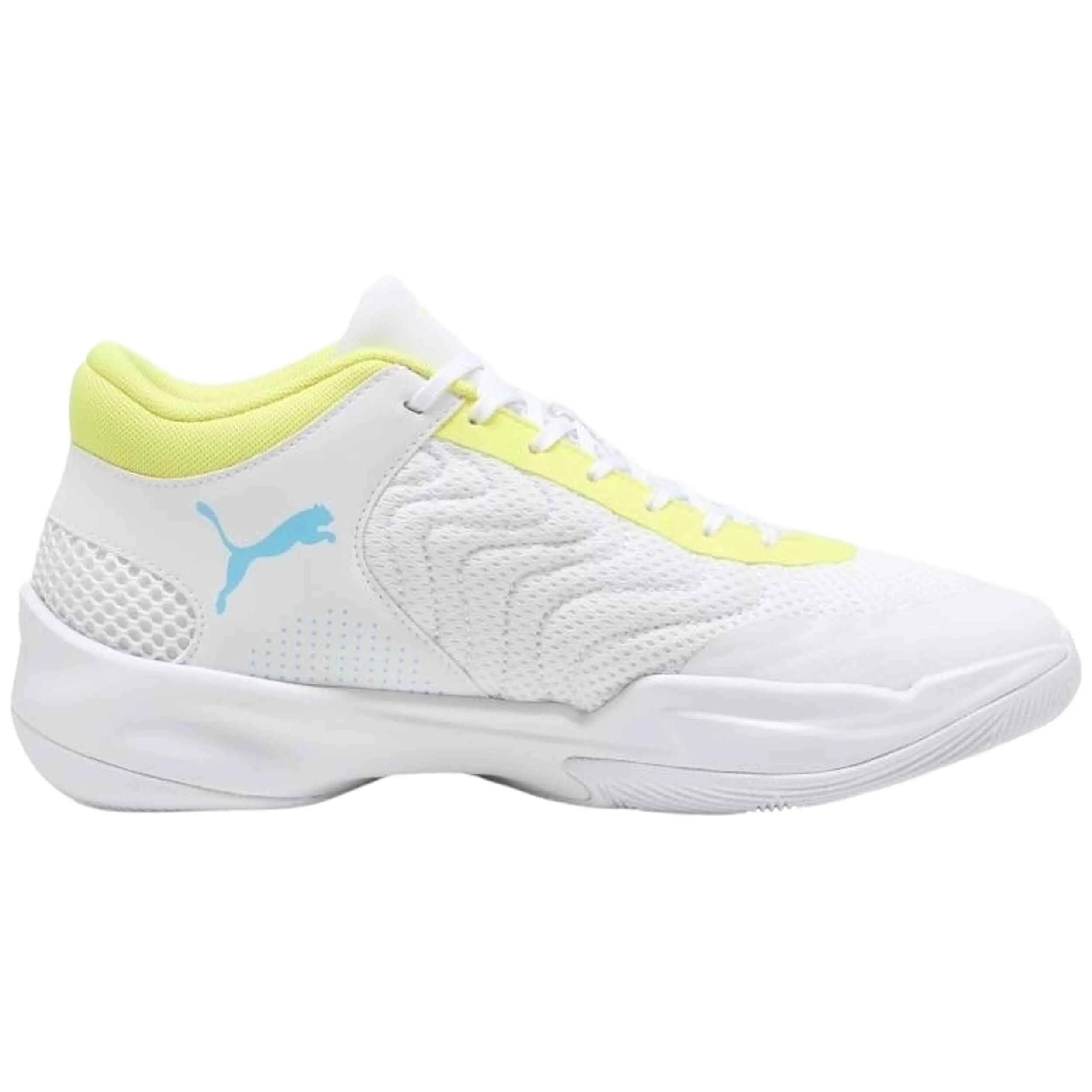 PUMA picture