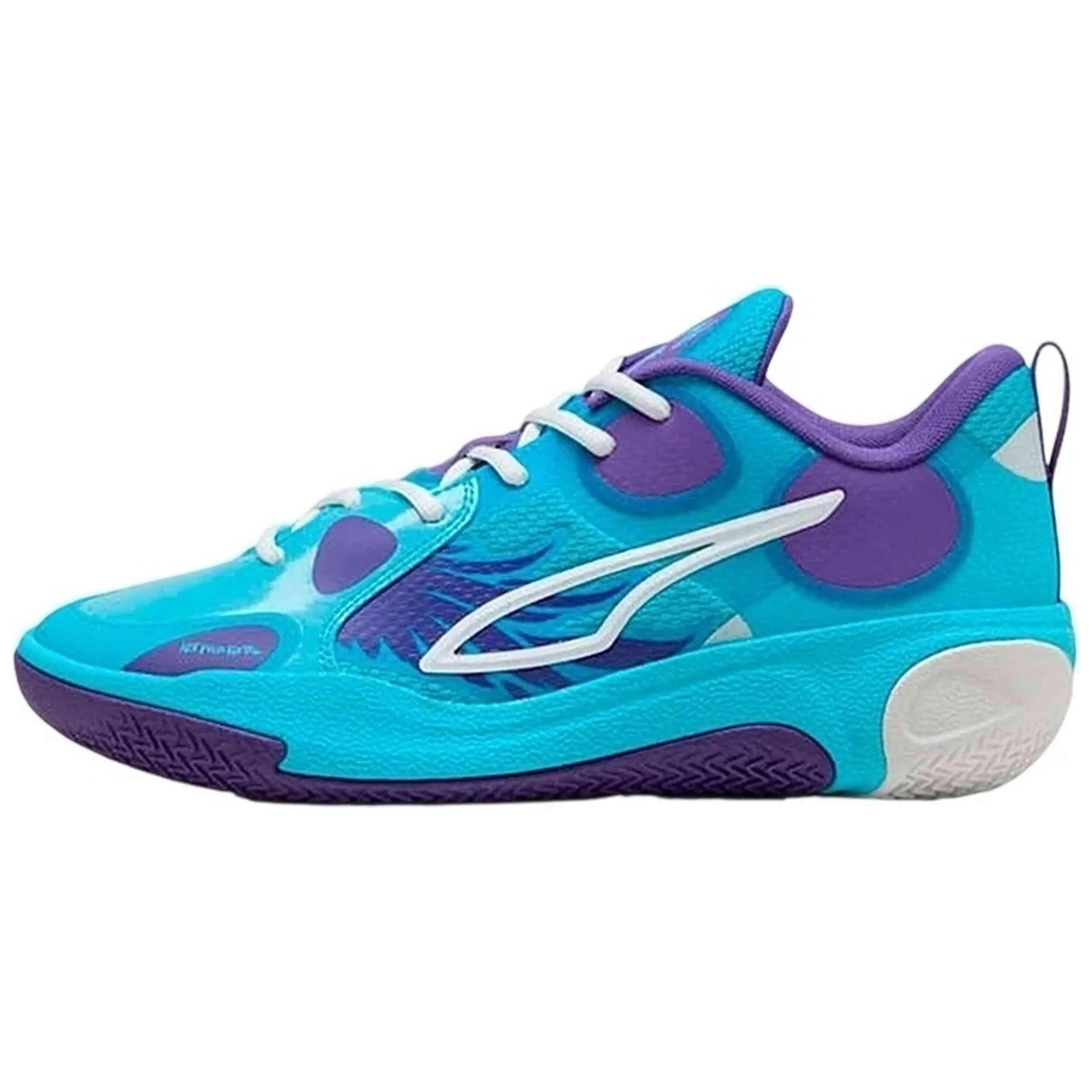 PUMA picture