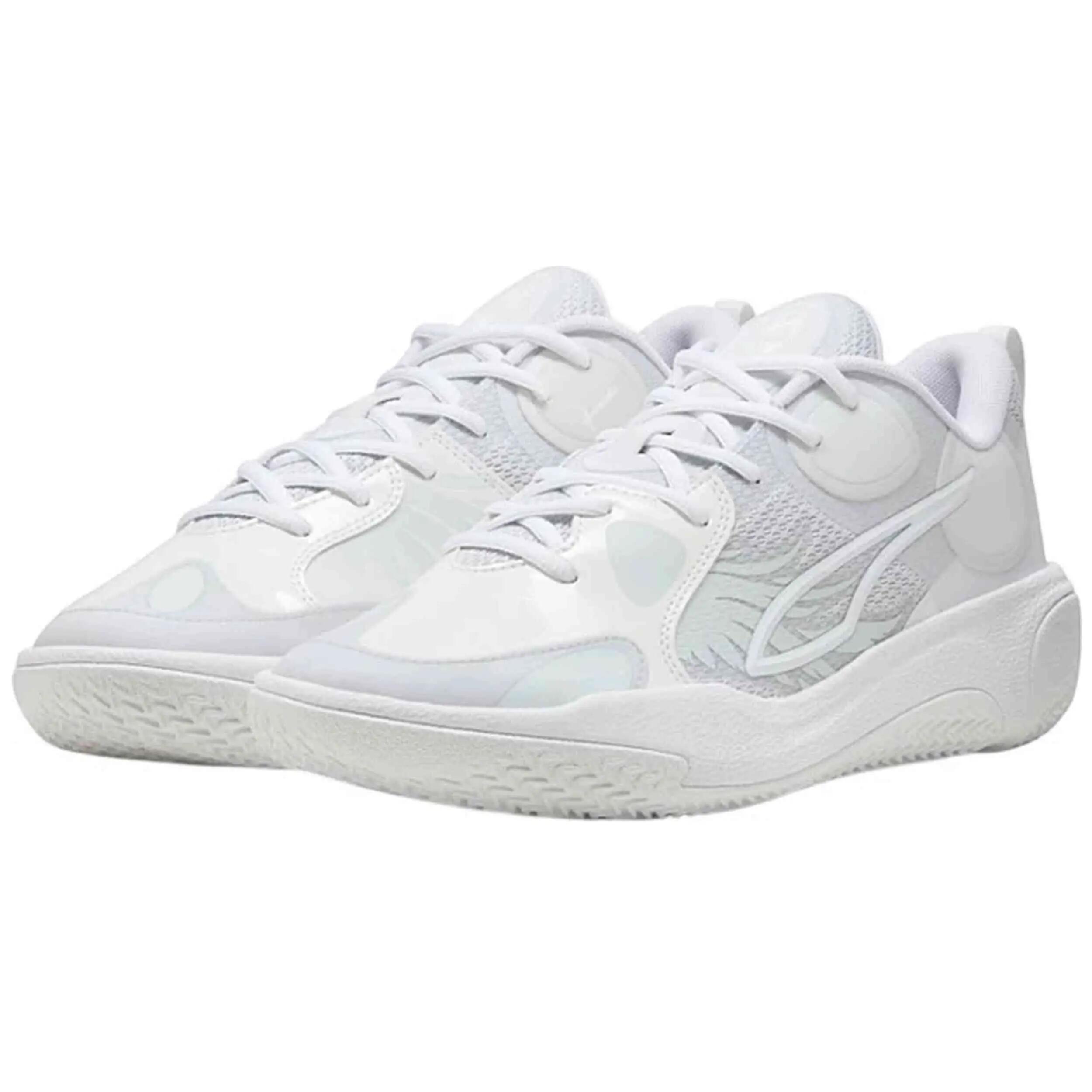 PUMA picture