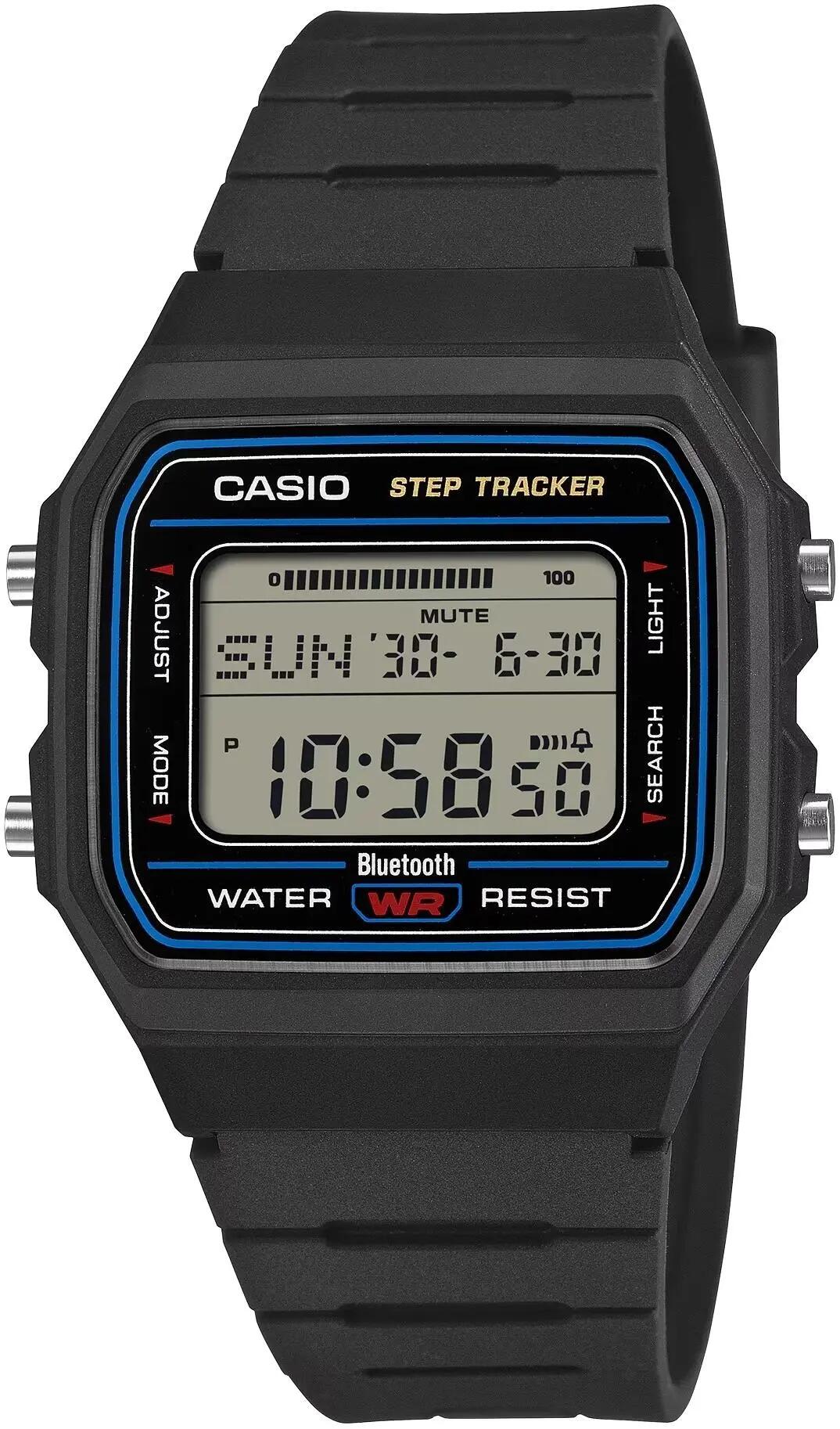 CASIO picture