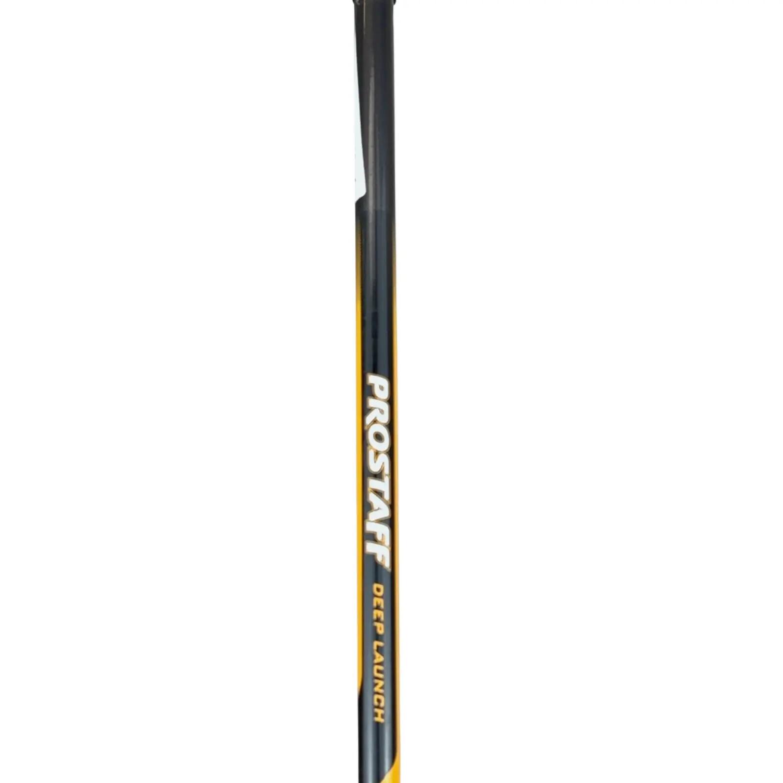 Wilson LCG Driver / Flex A-flex / Loft 10.5 5/6