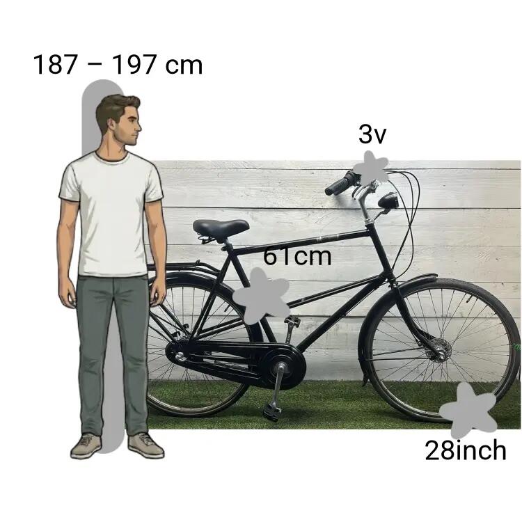 Tweedehands Batavus Hommage 2/4