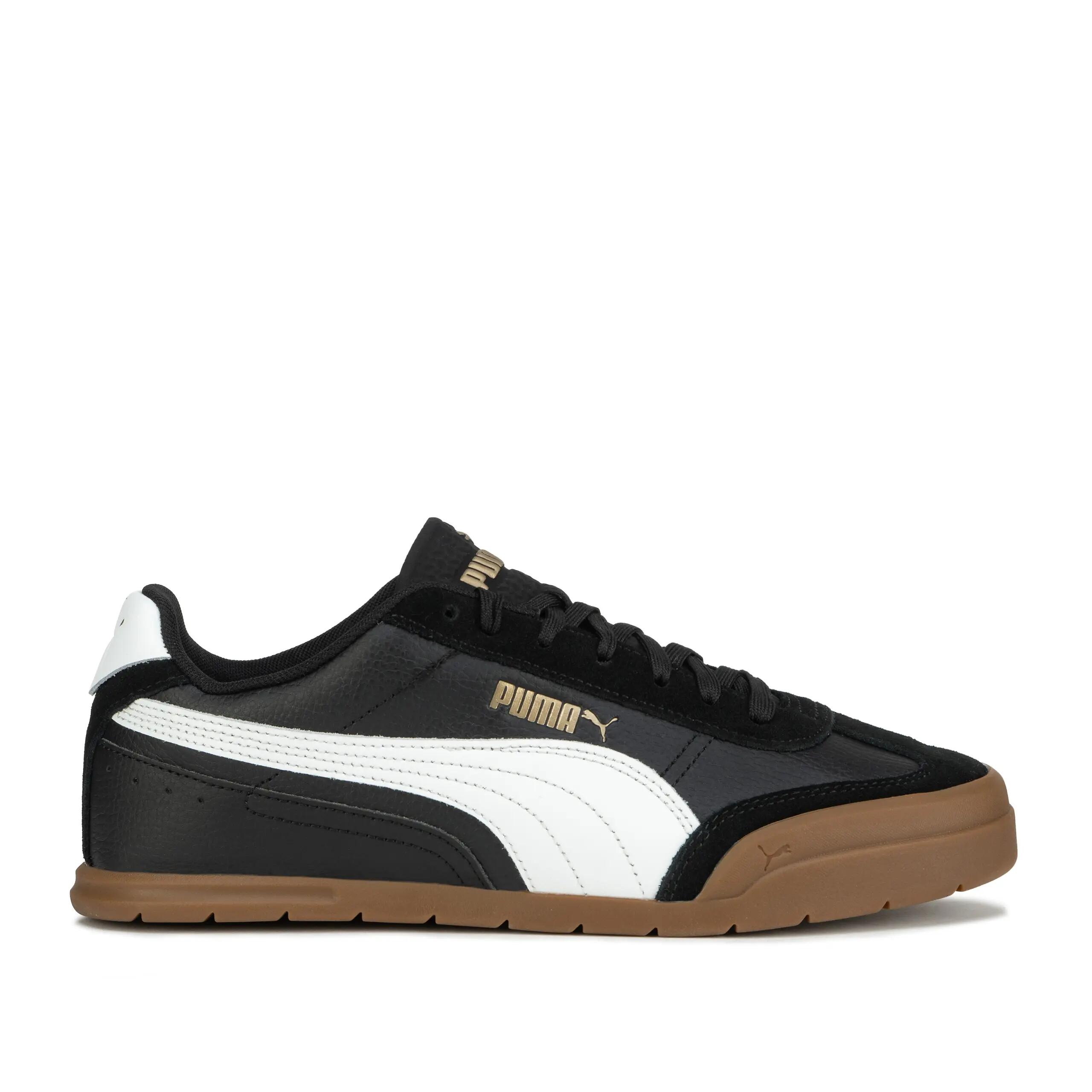 PUMA picture