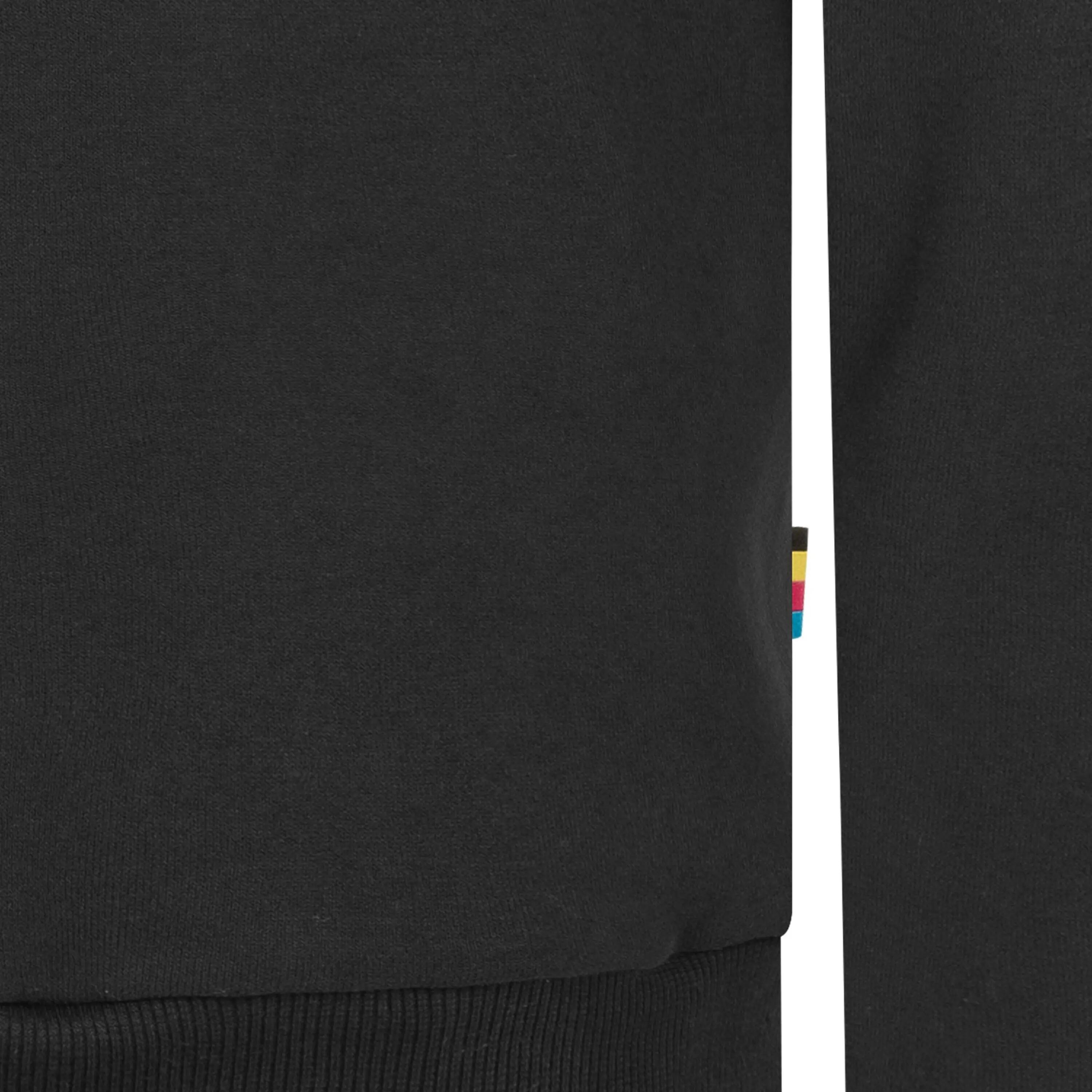 Homme - Randonnée nature - Veste sweat à capuche - grattée - FINN II 9/9