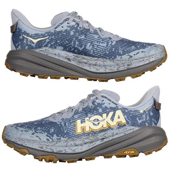 Pánská trailová obuv Speedgoat 6 GTX WLSP 2/4