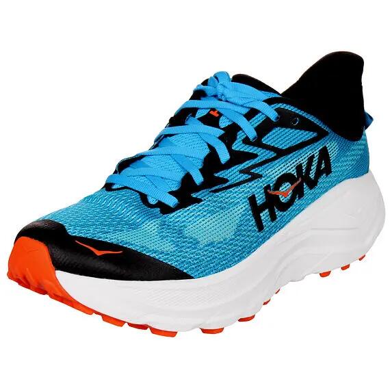 HOKA ONE ONE picture