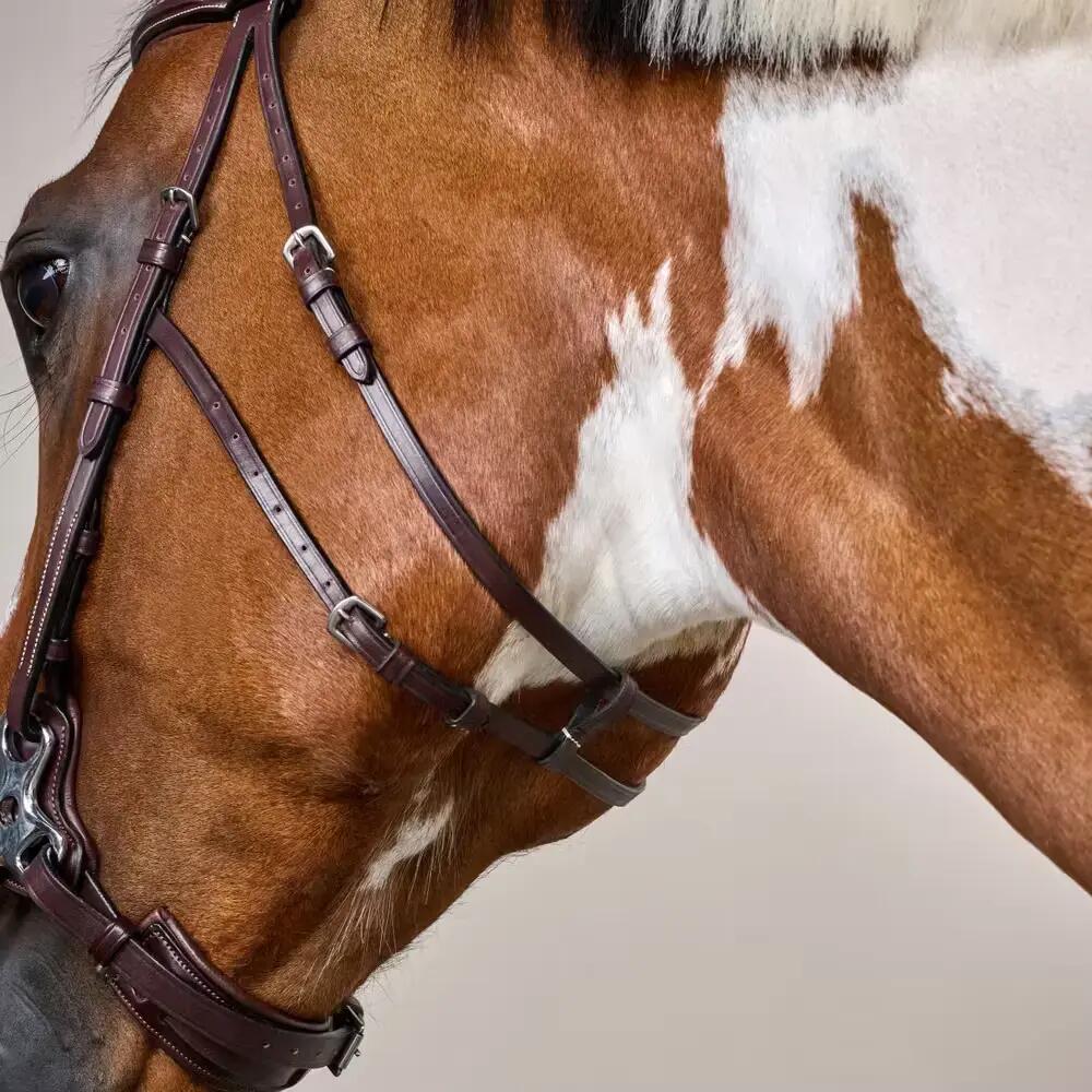 Hackamore for horse Dy'on US Collection 4/5