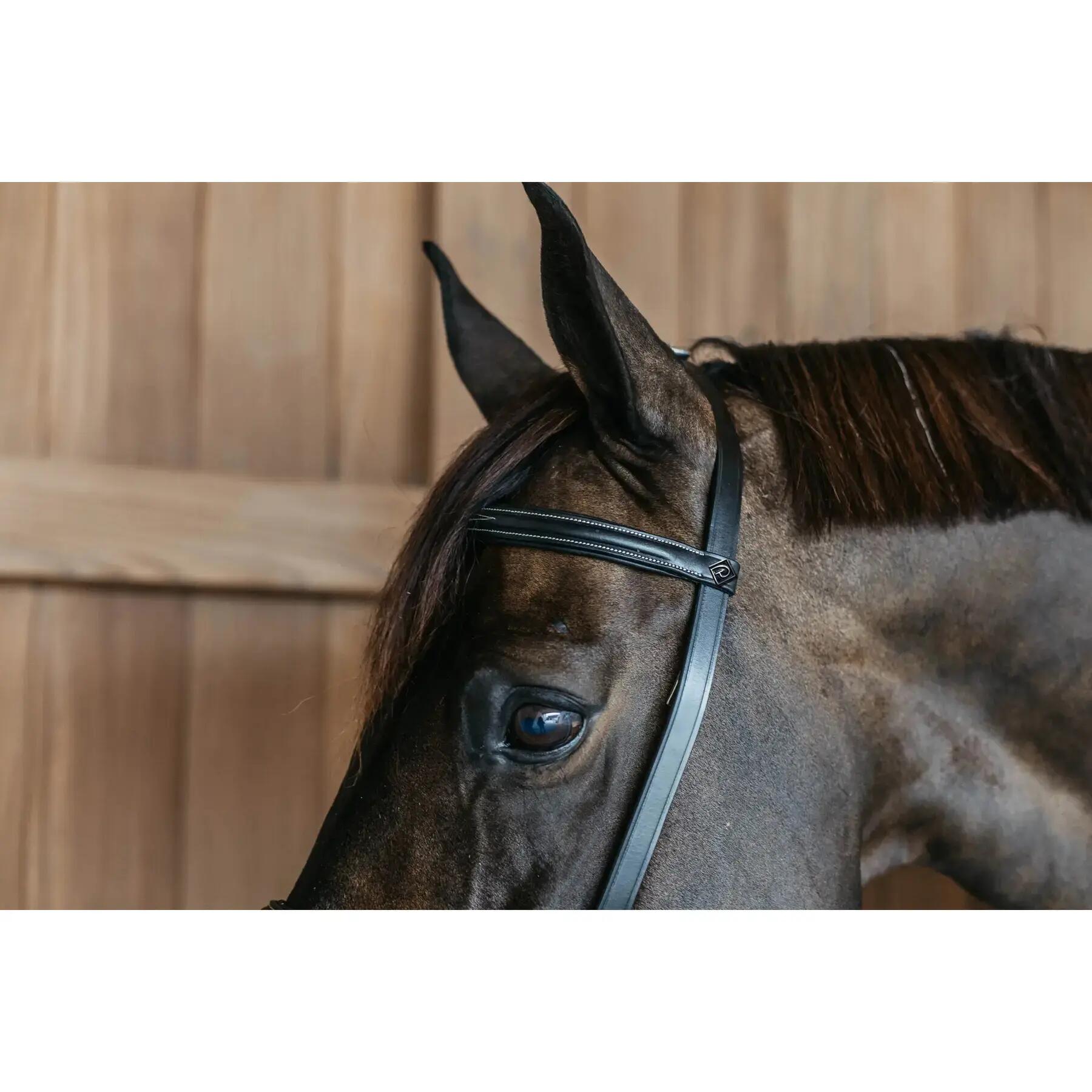 Trense Kombiniertes Reithalfter Training Dy'on 4/4