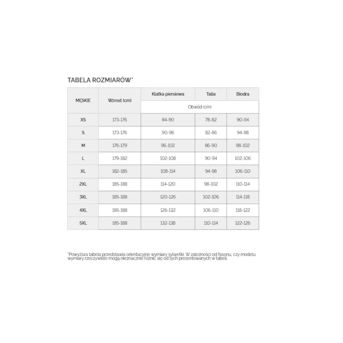 Bluza Termoaktywna Męska 4F Narciarska Snowboardowa 4FDry Czarna 2/6