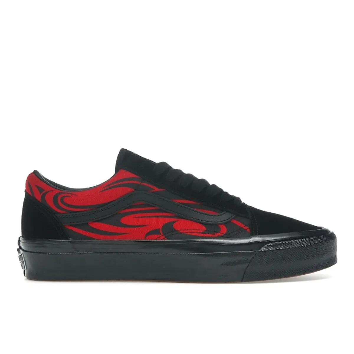 VANS picture