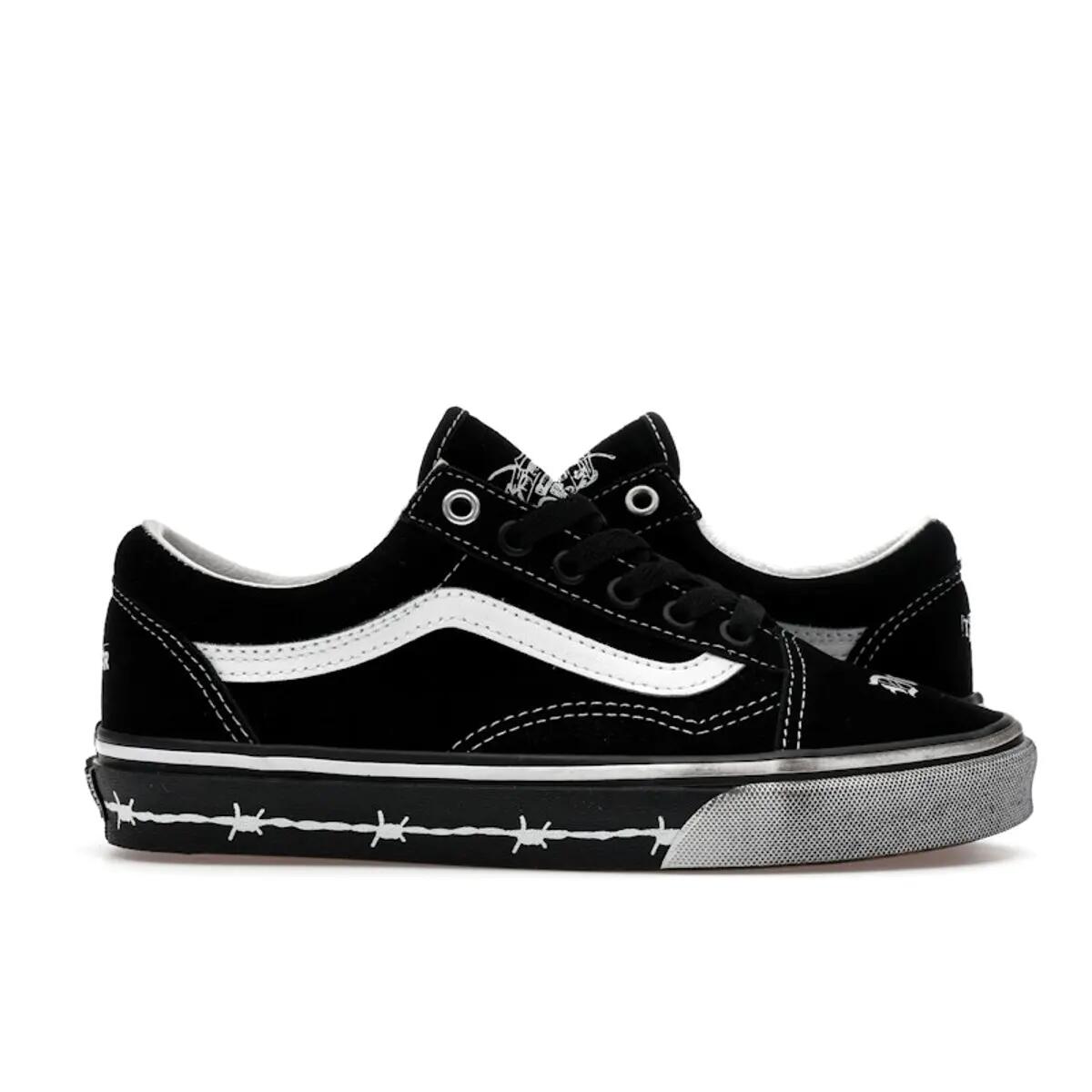 VANS picture