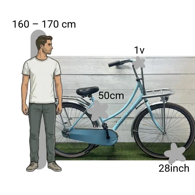 Vélo d’occasion Vogue Transporter 2/4