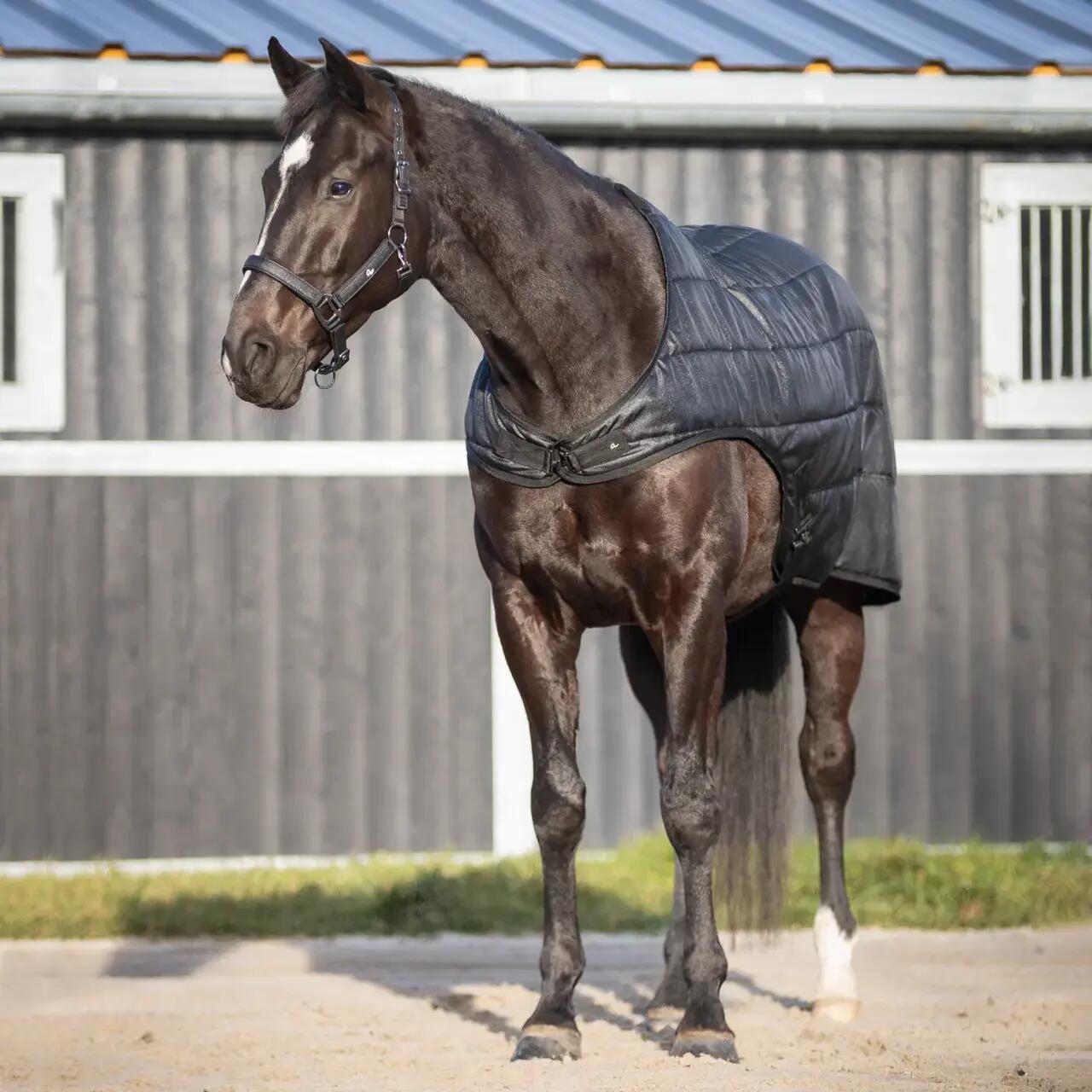 Copertura impermeabile per cavallo QHP 6/7