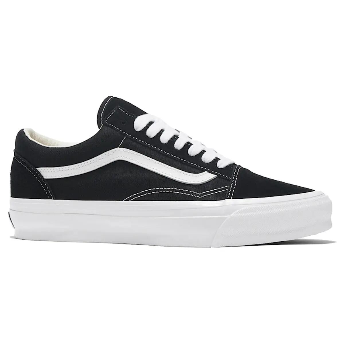 VANS picture