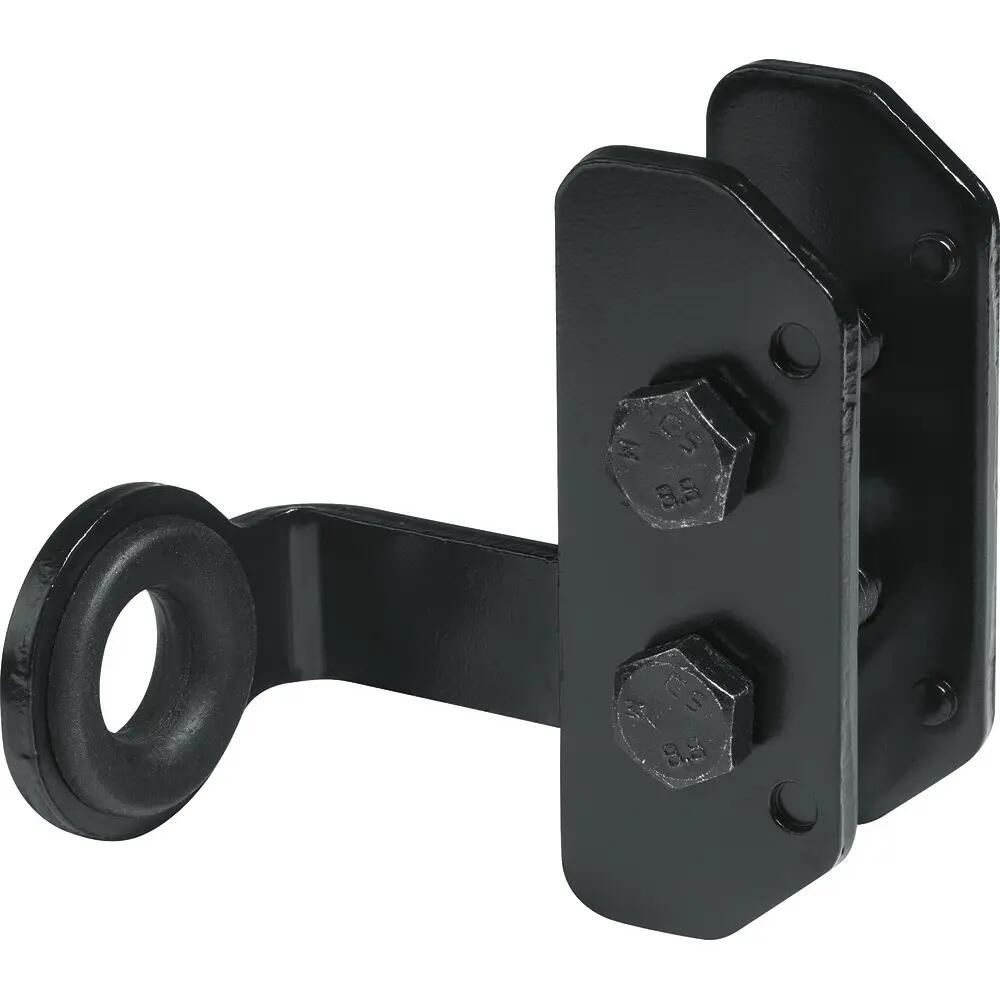ABUS picture
