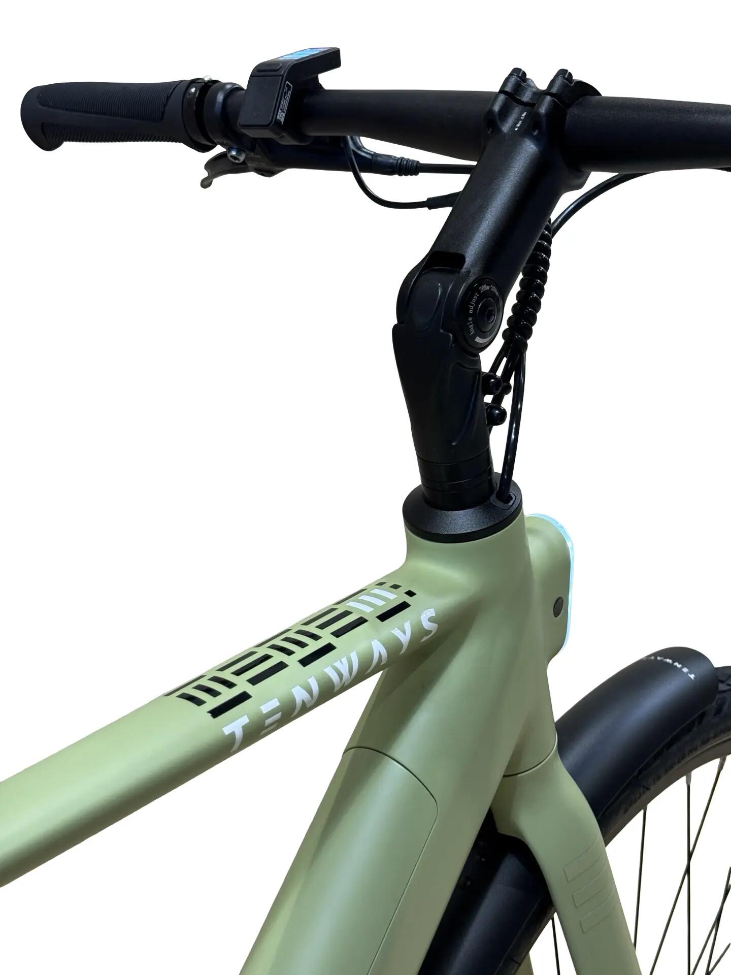 Refurbished - E-Bike Tenways CGO600 Pro Single-Speed - Wie neu 9/12