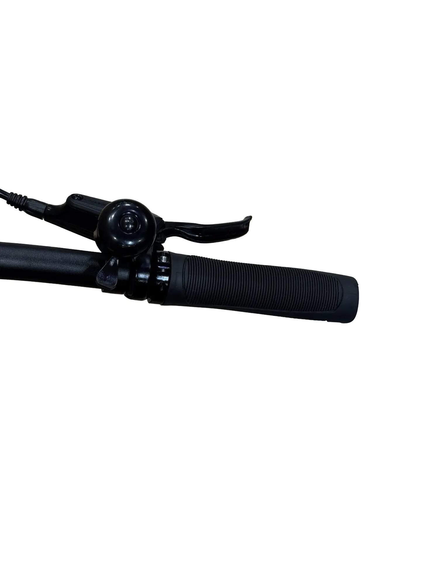 Refurbished - E-Bike Tenways CGO600 Pro Single-Speed - Wie neu 8/12