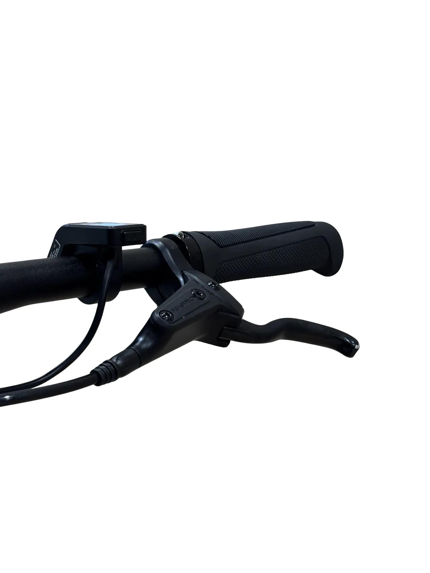 Refurbished - E-Bike Tenways CGO600 Pro Single-Speed - Wie neu 6/12