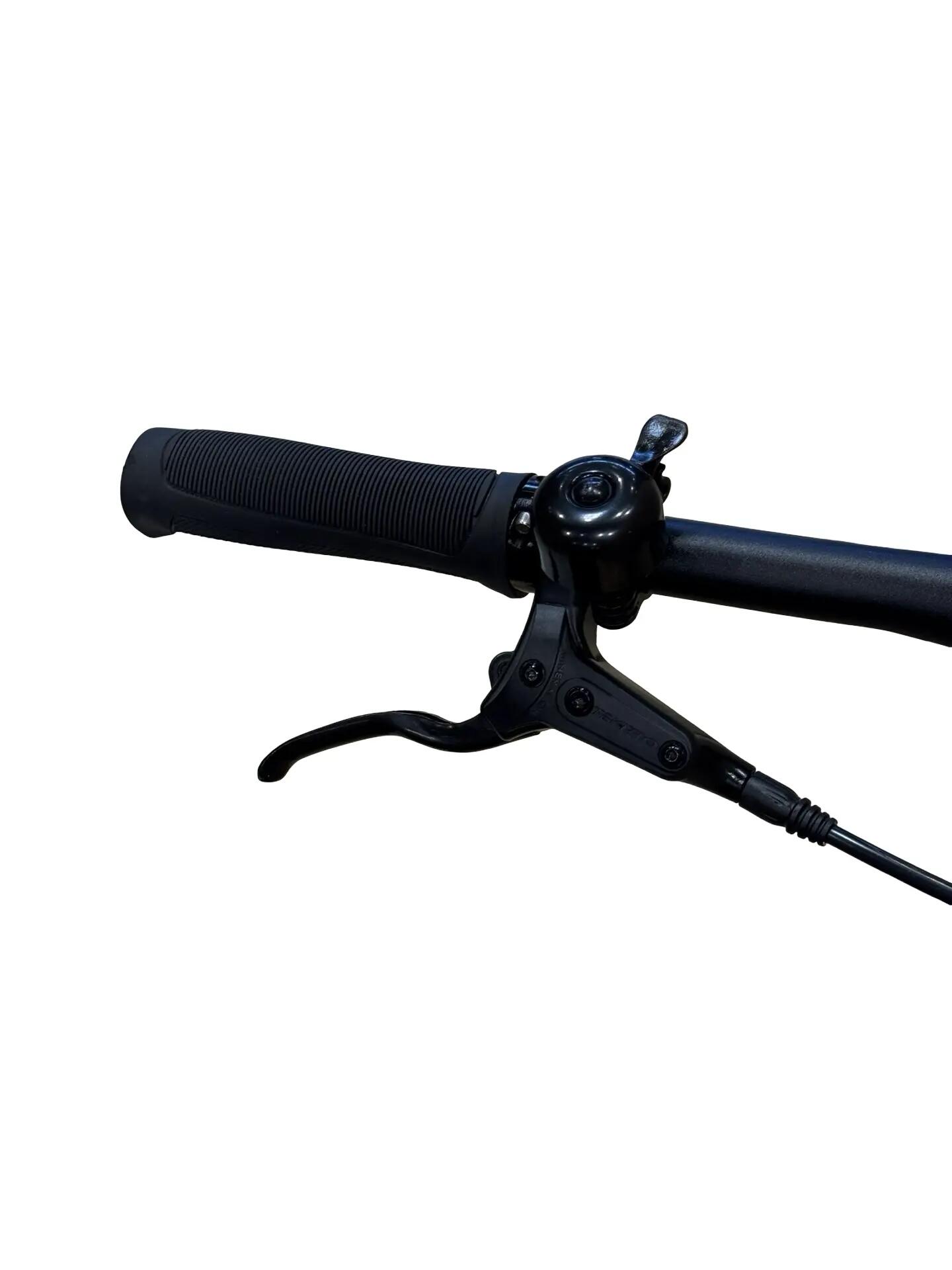 Refurbished - E-Bike Tenways CGO600 Pro Single-Speed - Wie neu 5/12