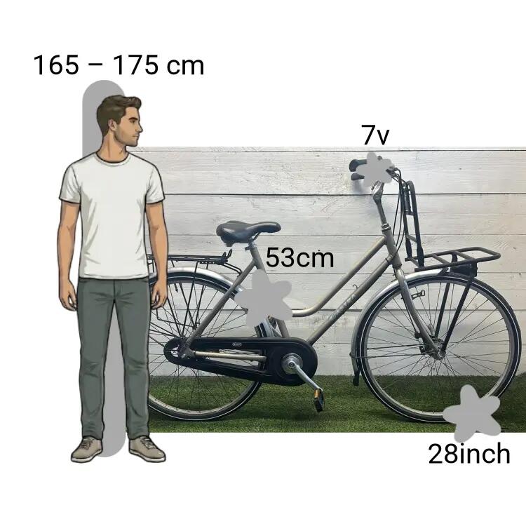 Bicicleta usada Castra Milano 2/4