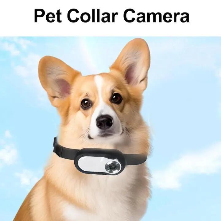 Collier caméra animal, vidéo, 350 mAh, 128 Go, multicolore 2/6