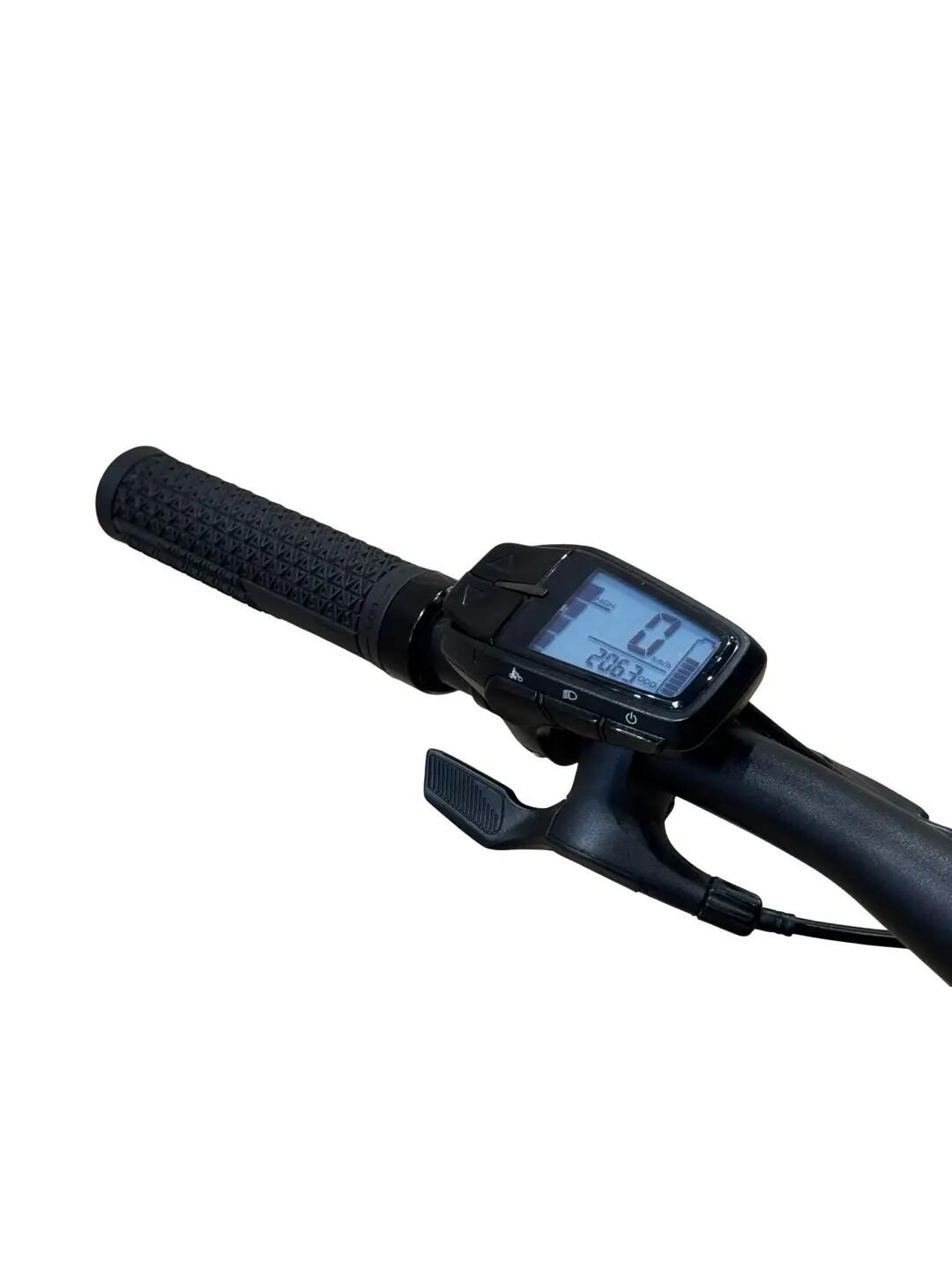 Ricondizionata - E-Mountain bike Raymon TrailRay 160E 9.0 - Stato eccellente 6/12