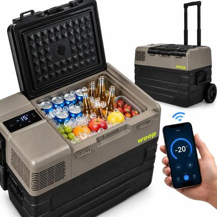 WEEP NX42 Kompressor-Kühlbox Gefrierbox Auto 43.5L 12V/230V -20°C