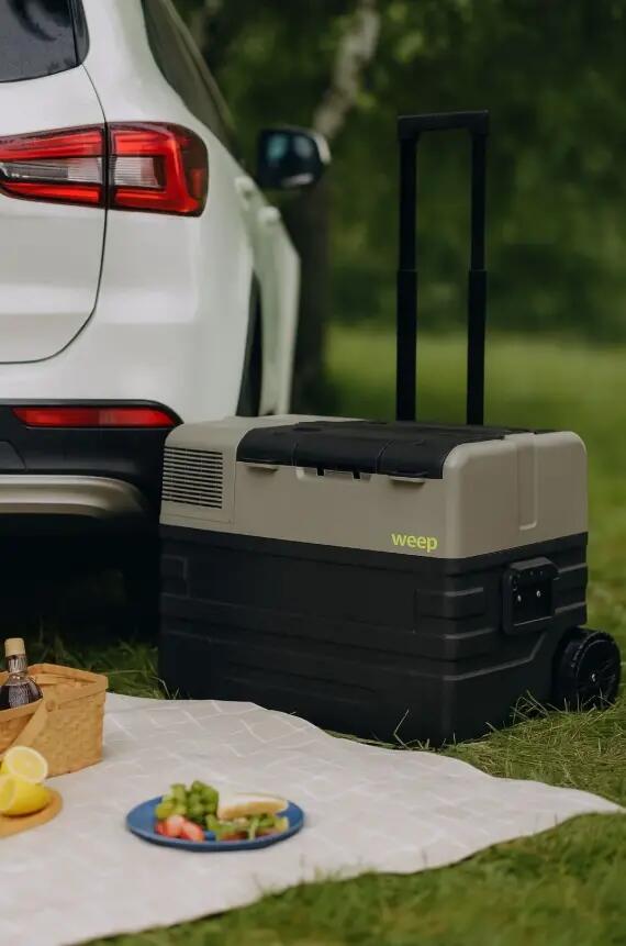 Nevera Camping Compresor Congelador Portátil para Coche WEEP NX42 43.5L 8/15