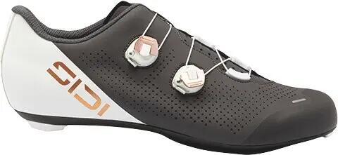 SIDI picture