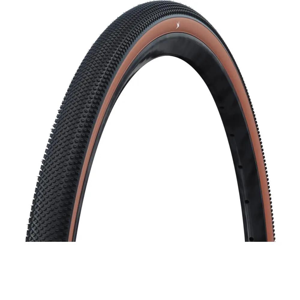 SCHWALBE picture