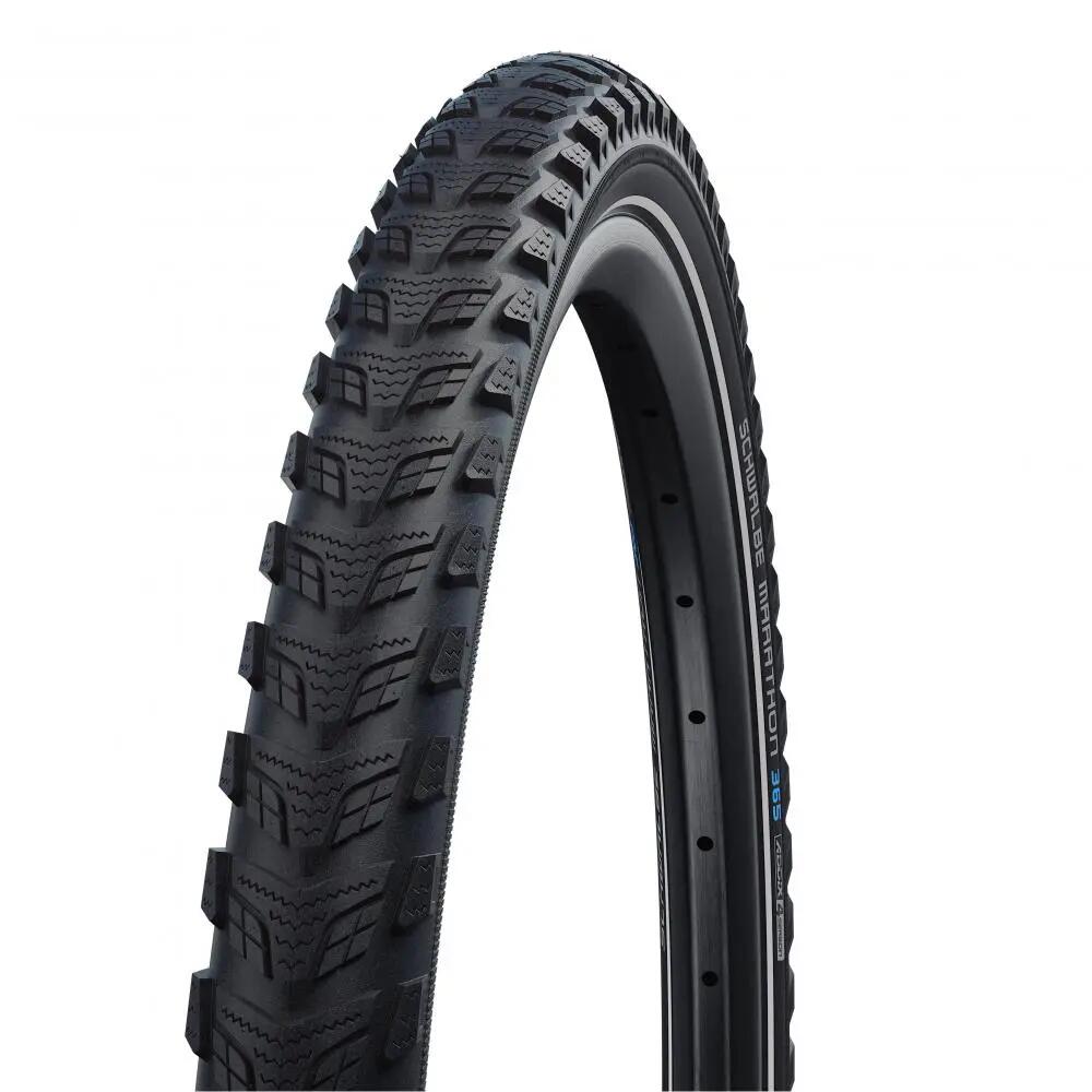 SCHWALBE picture