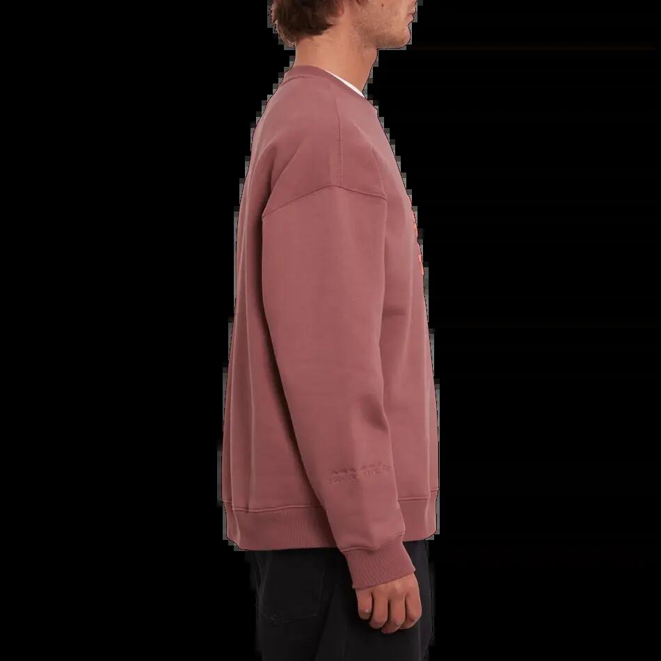 Sudadera Volcom Egle Zvirblyte Rose Brown 3/3