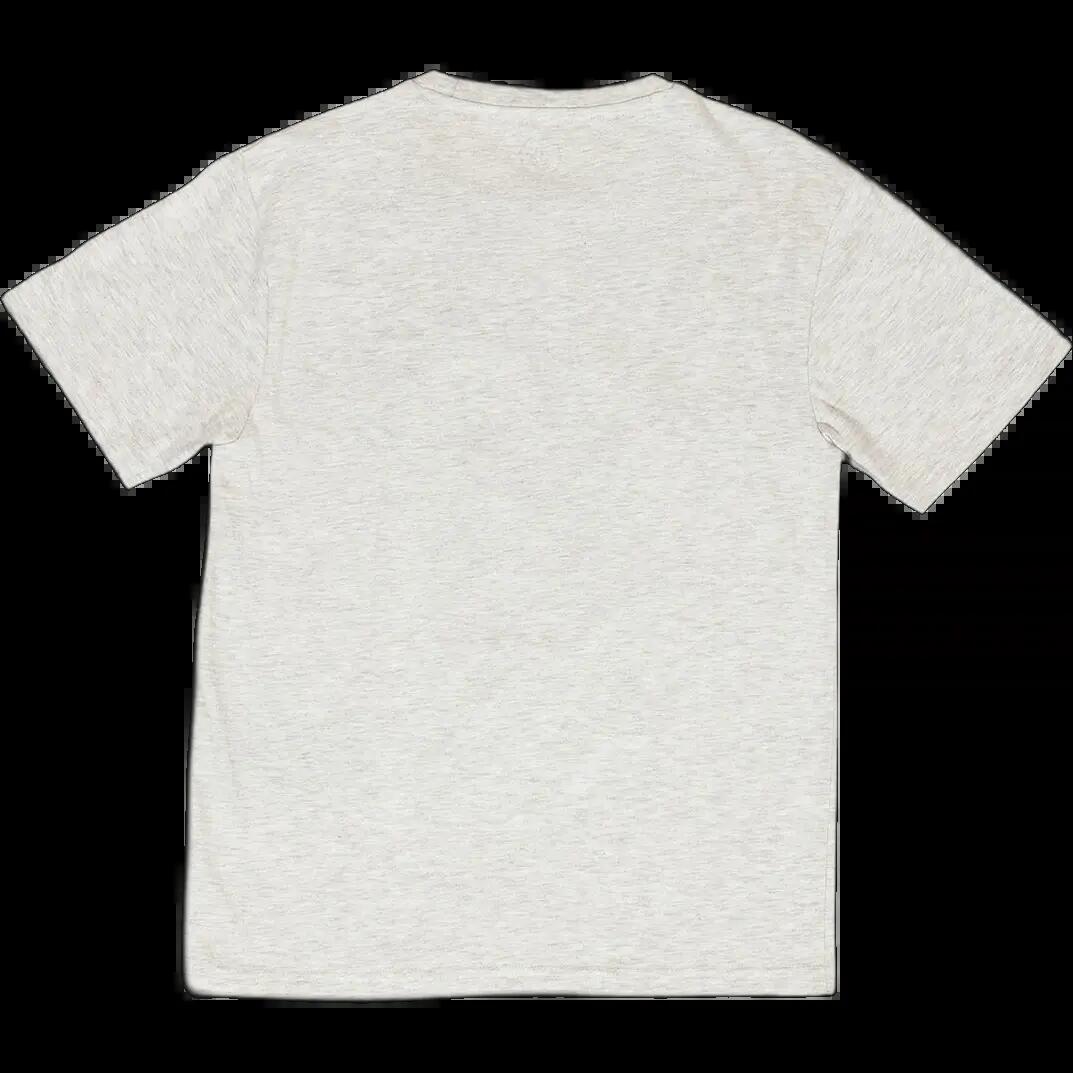 T-shirt Volcom Dontcontaminate Cinza 2/2