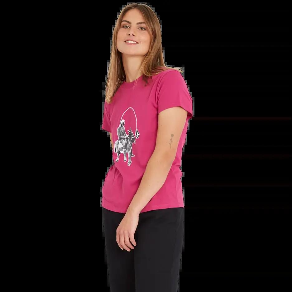 VOLCOM picture