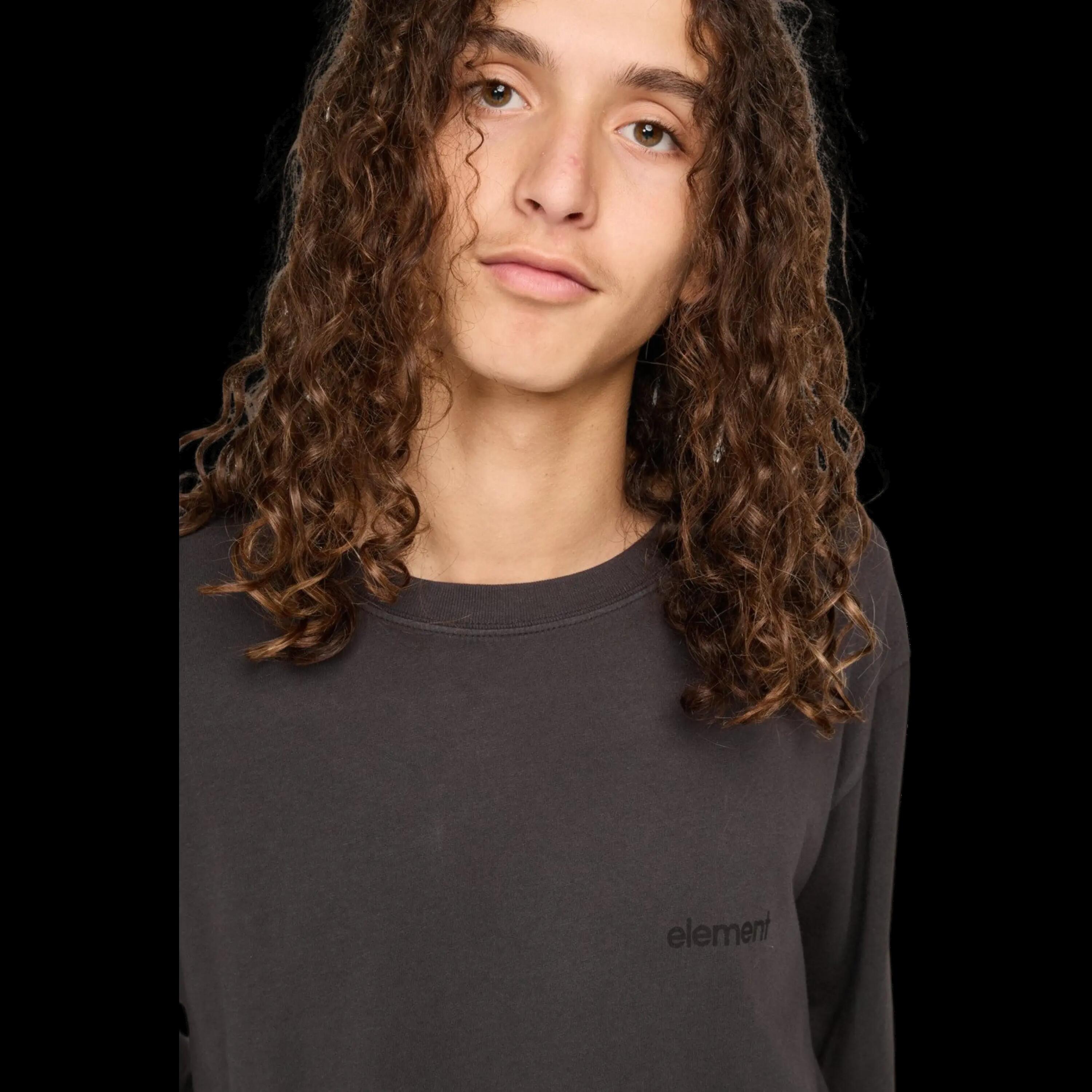 Sudadera Element Lowcase Pigment Crew Negro 2/4
