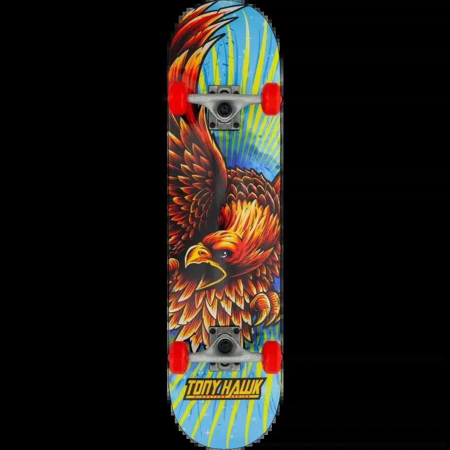 TONY HAWK picture