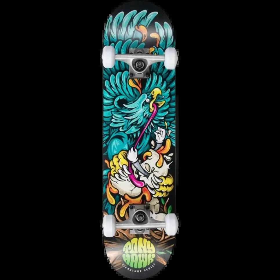 TONY HAWK picture