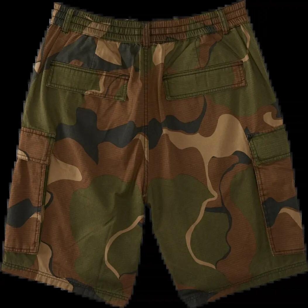 DC Shoes Tundra Abstract Camo Short Hosen 8/8