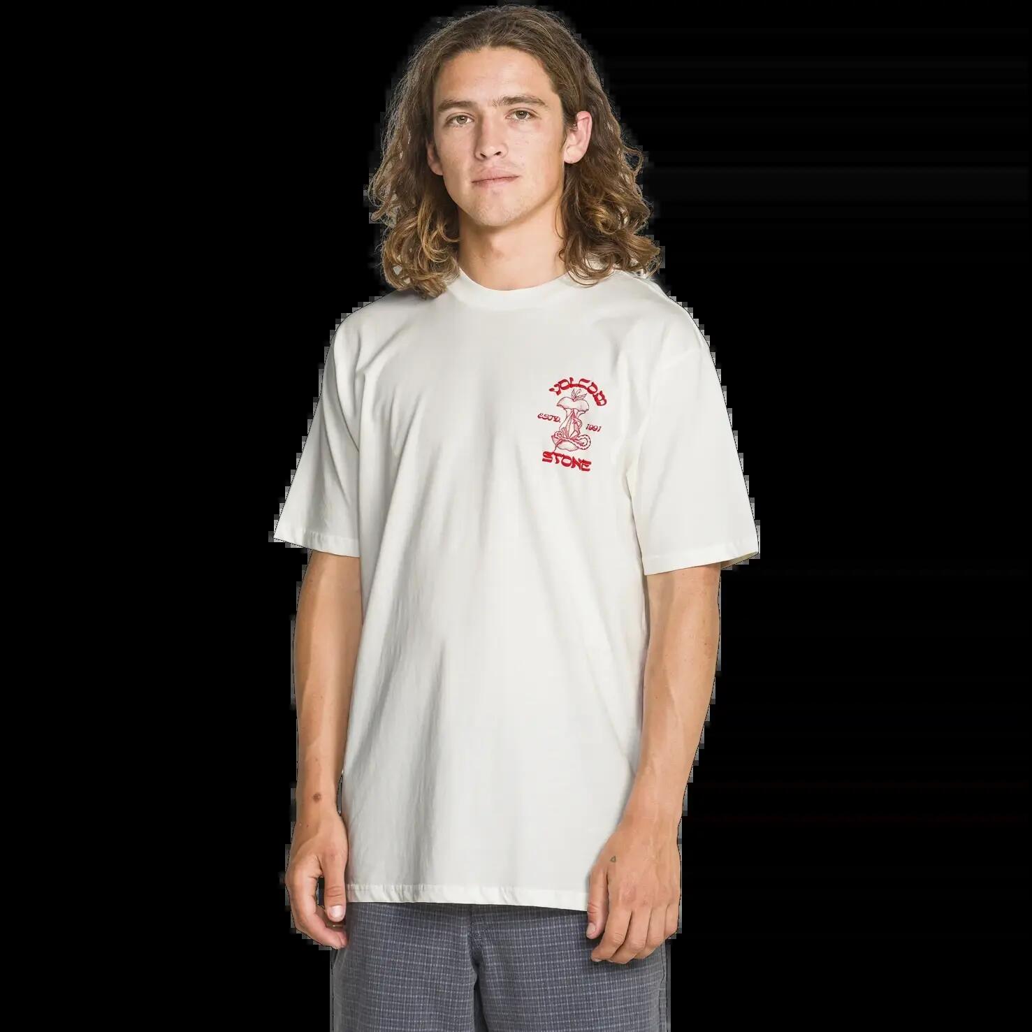 VOLCOM picture