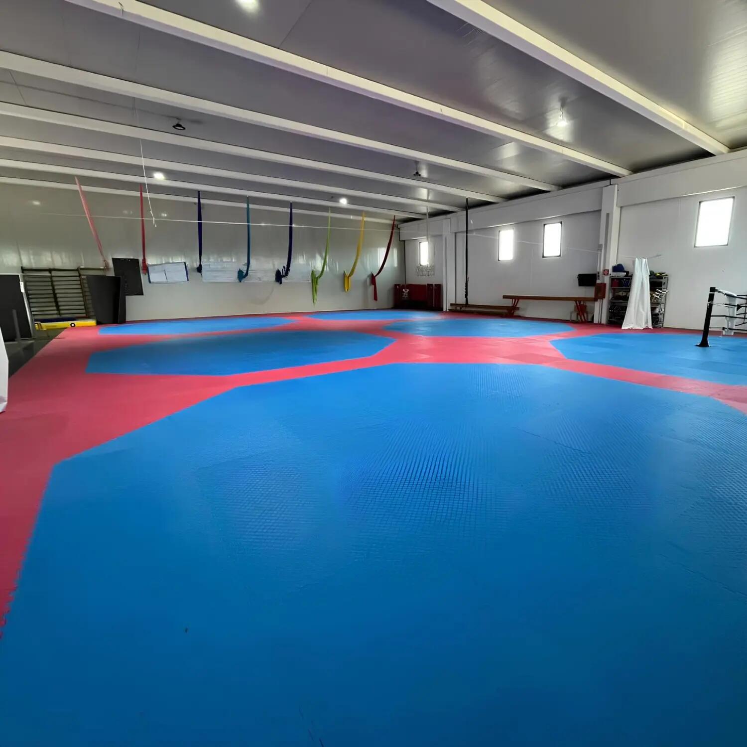 Tatami Eva a Puzzle 100x100x4 cm | Judo e Arti Marziali 4/6