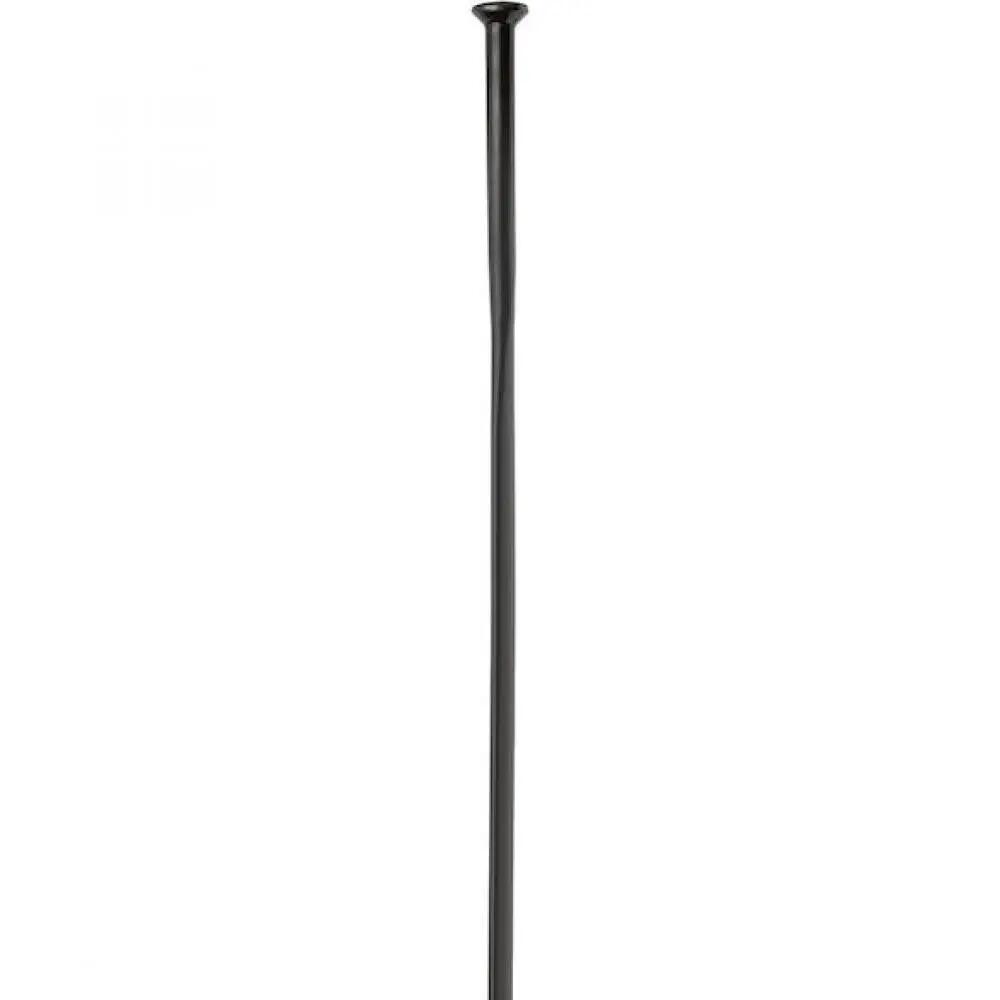 DT Swiss Speiche Aerolite Straightpull 2.0 / 290 mm schwarz - ultraleichte Ho... 1/1