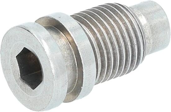 SHIMANO Achse für Schaltwerkhalter RD-R7000 Direktmontage - 11-fach, 105-Seri...