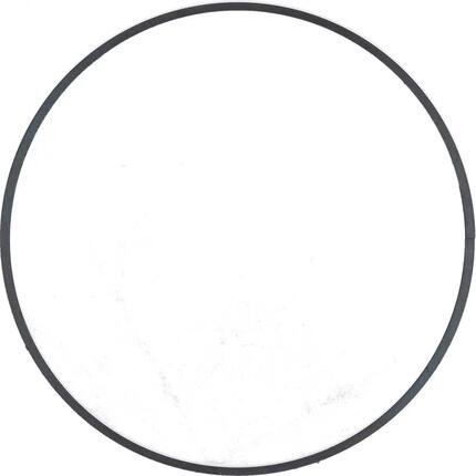 SHIMANO Stopring SG-8R20 - Sicherungsring für Nabenschaltung SG-8R20, 2 g