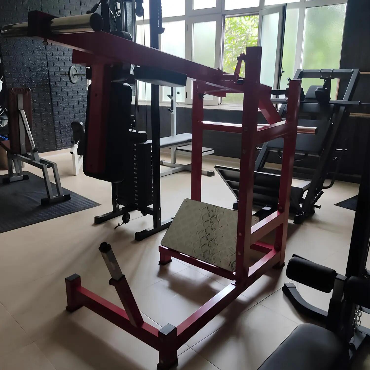 Pendulum Squat Machine - Professionale | Personalizzabile 2/6