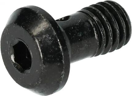 SHIMANO Bremsleitungsschraube BR-M8100 - für hydraulische Scheibenbremsen, ca...