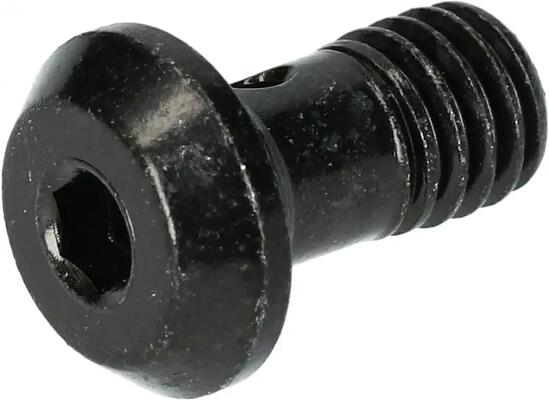 SHIMANO Bremsleitungsschraube BR-M8100 - für hydraulische Scheibenbremsen, ca...