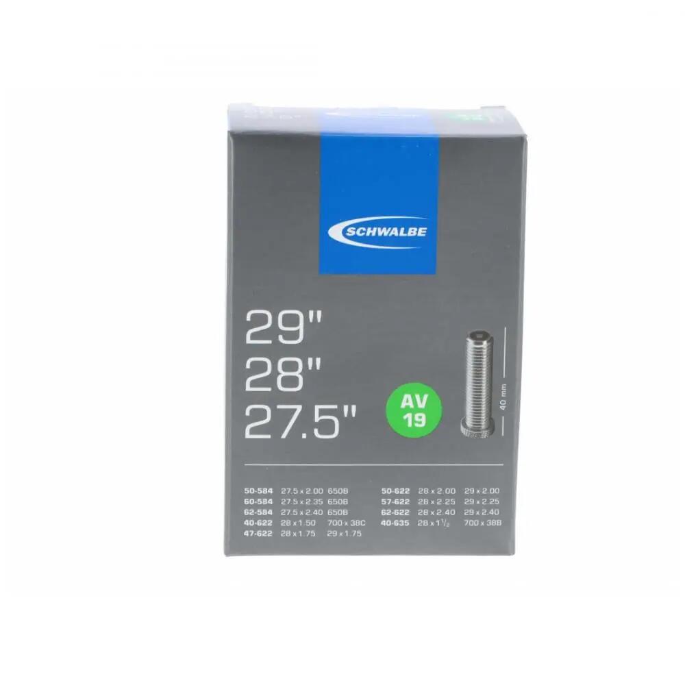 SCHWALBE picture