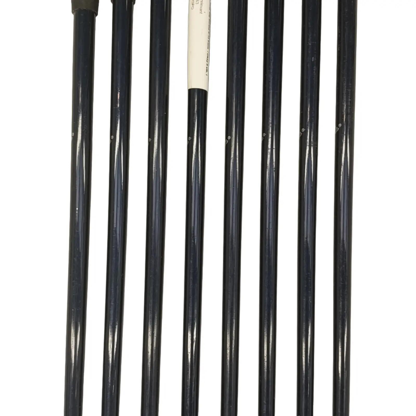 Callaway Big Bertha X-12 Iron Set / 3-PW / Flex Regular / Graphite 4/7