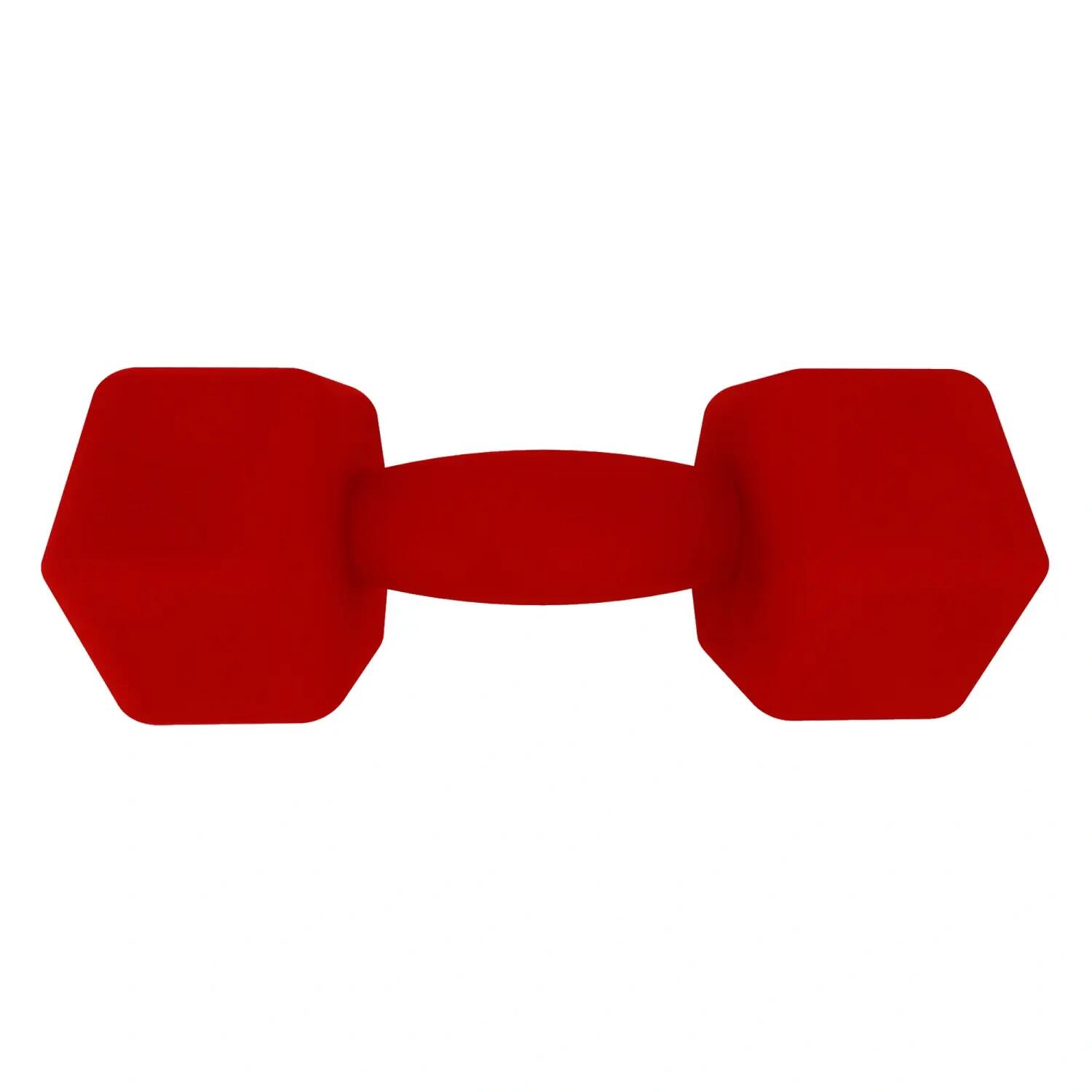 Manubrio in Neoprene da 2 Kg - Antiscivolo | Fitness 3/6
