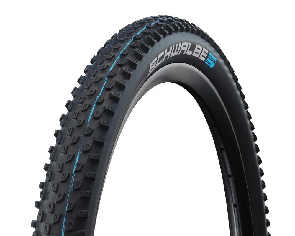 SCHWALBE picture